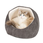What is the best (or worst) thing you've bought for your cat?