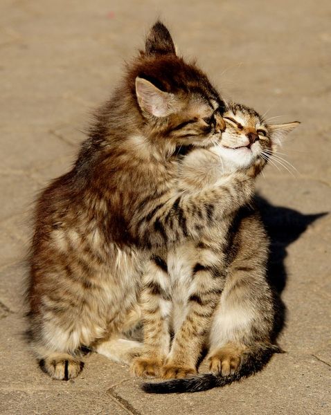 Sharing the Shitness - HOF Advent Calendar SPOILERS