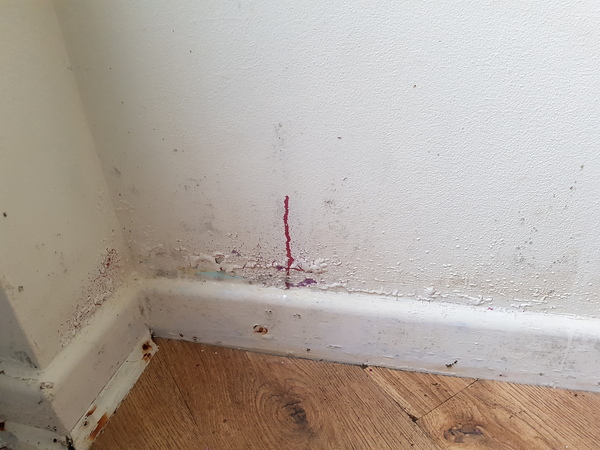 What kind of damp is this?