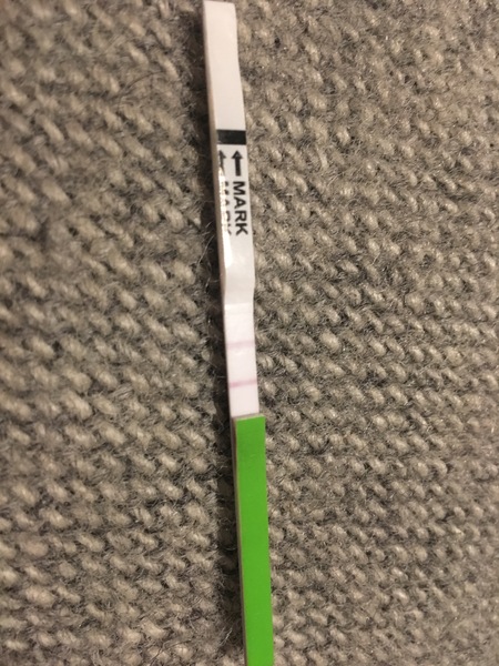 Ovulation positive test?