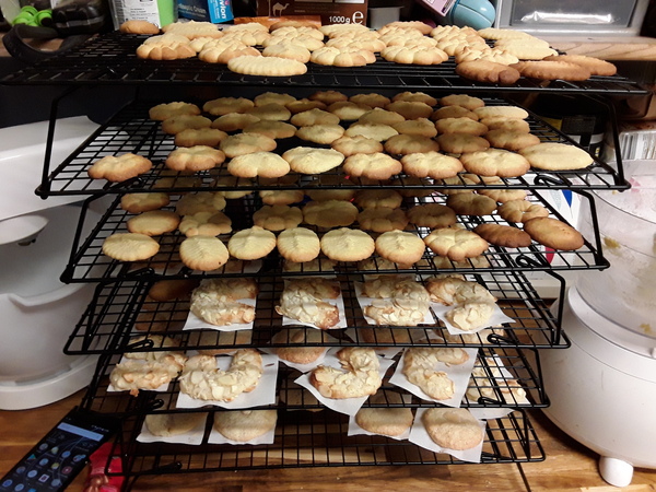 Festive Frugaleers gather round the (best value and carefully researched) Christmas Tree for support, advice and chat. All welcome.
