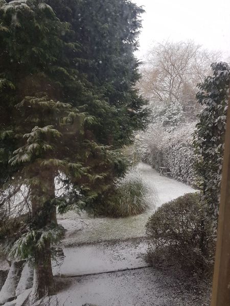 To ask to show me the view from your door