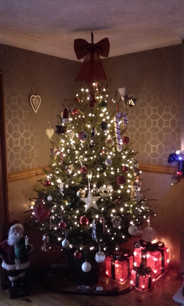 Lets see your trees!
