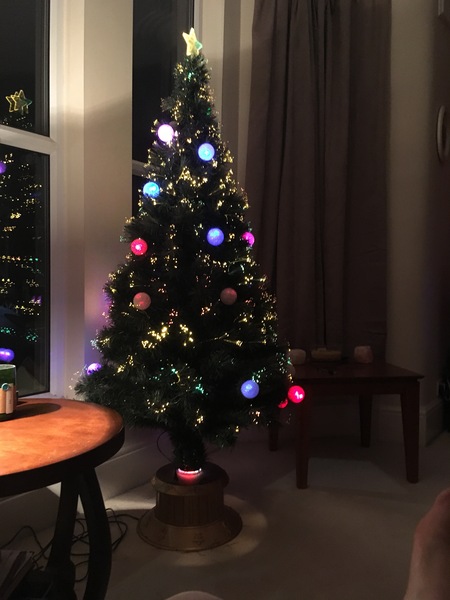 Lets see your trees!