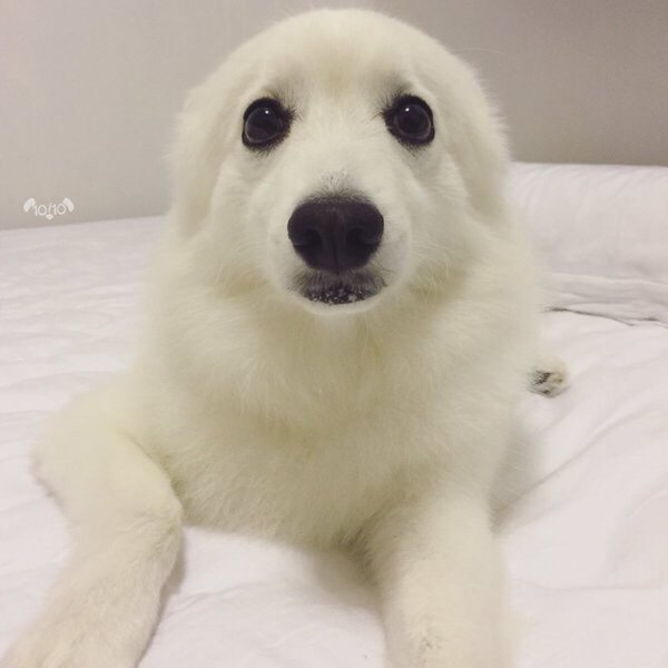 ‘Uneasy lies the head that wears the crown’ - as it should be! Trump thread continued.