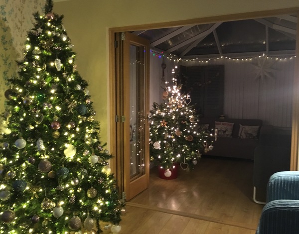 Taking the tree down!