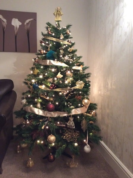 Lets see your trees!