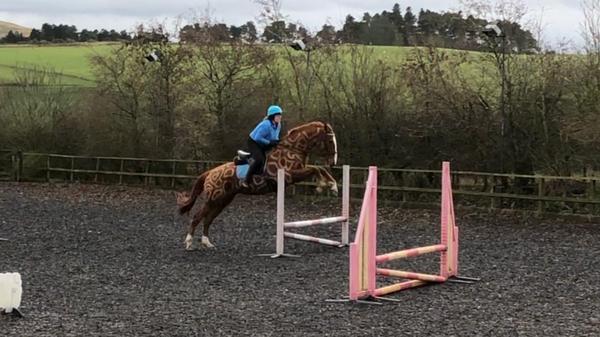 Week 8 - Low Carb Bootcamp - Only 3 weeks to go ...