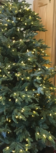 Disappointed with my balsam hill