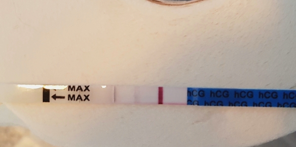 Is this a BFP?