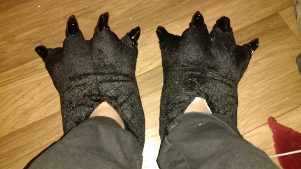 What's your DCat up to today? Episode 6, Return of the... Cats?