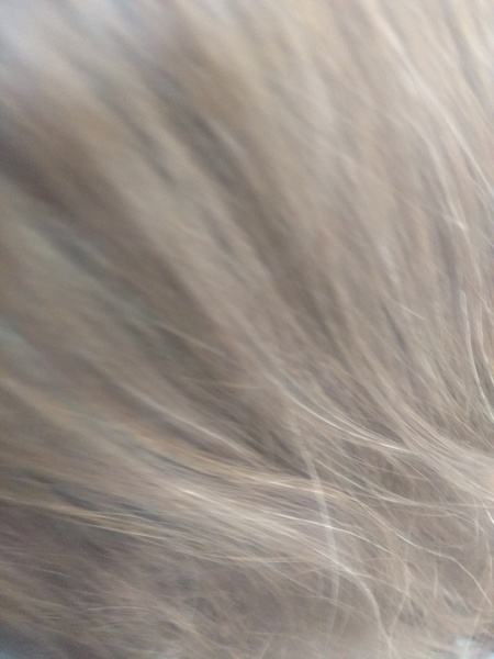 Please advise me on my greying hair.