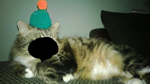 Sharing the Shitness - HOF Advent Calendar SPOILERS