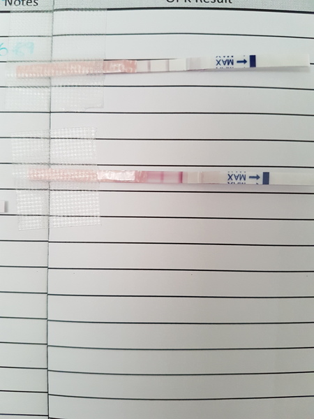 Home insemination success stories?