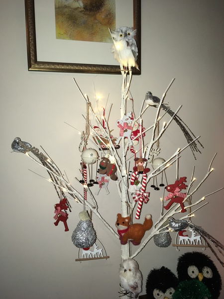 To think that THIS is not a Christmas tree?