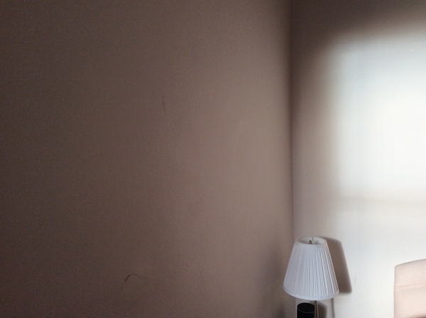 Very very light white for north-facing office.