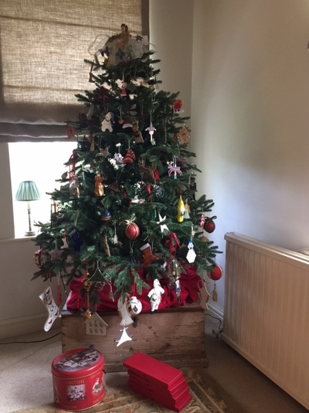 Lets see your trees!