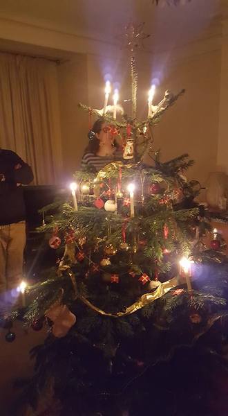 To want a peek at your tree?