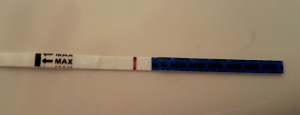 Is this a BFP?