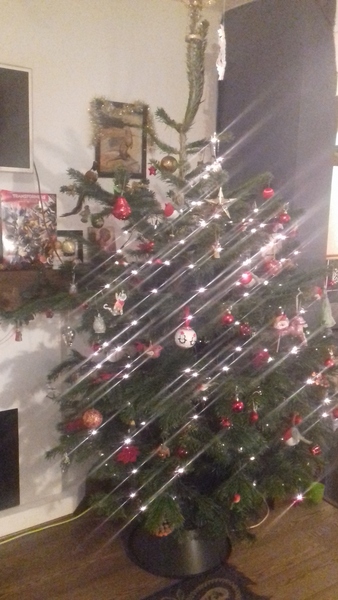 Lets see your trees!