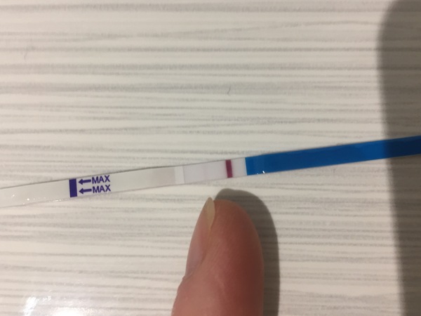 TTC #2 (December BFPs)