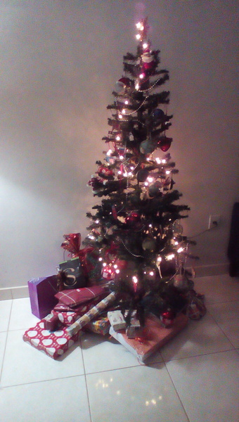 To want a peek at your tree?