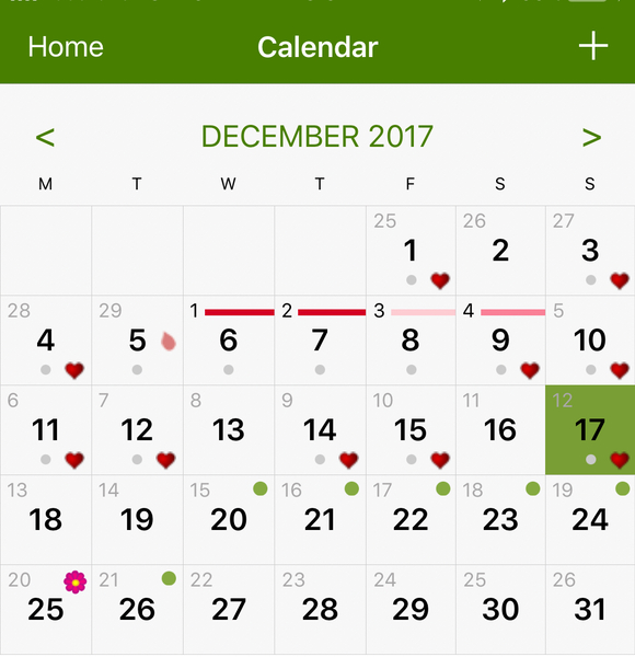 December Bus 2