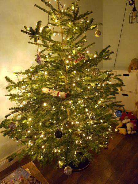 Lets see your trees!