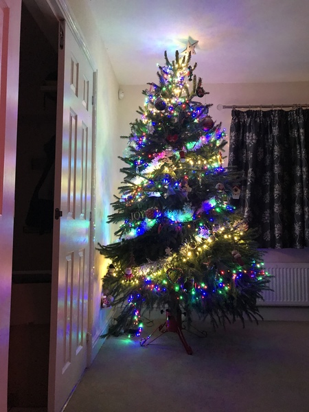 Lets see your trees!