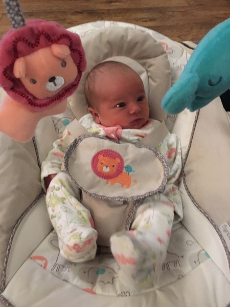 One week old: Eleanor or Georgina?