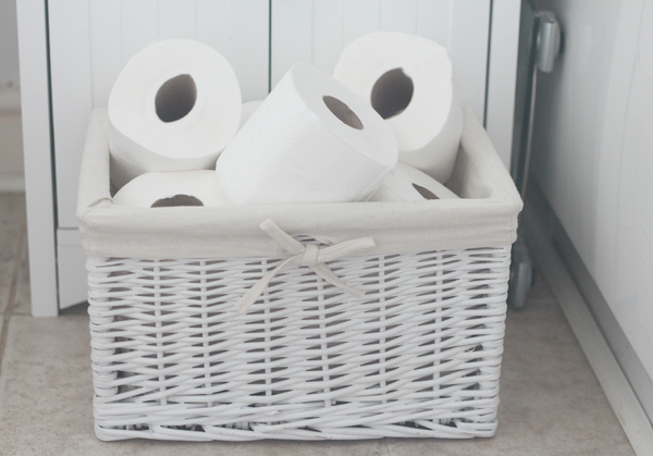 Are toilet roll holders a necessary evil or unbelievably naff?