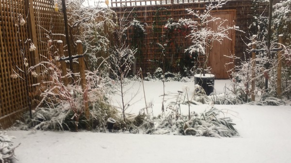 The Landscapers are here, it is better than the arrival of Santa