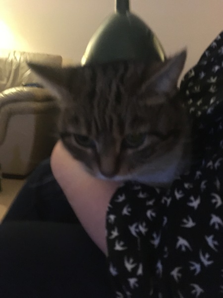 Sharing the Shitness - HOF Advent Calendar SPOILERS