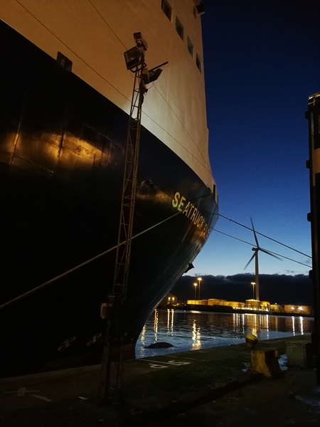 How can I find out when big container ships scheduled to dock at Southampton