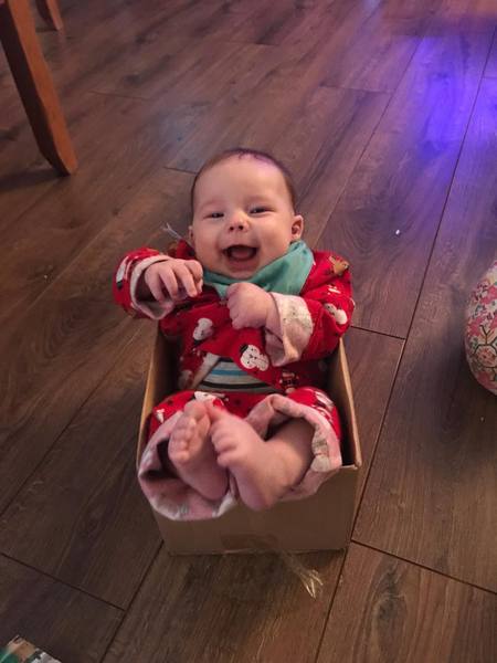 To clap my hands and skip about in a elephantine manner?