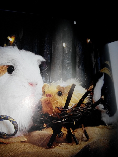 🐹 and 🐇 related Christmas gifts