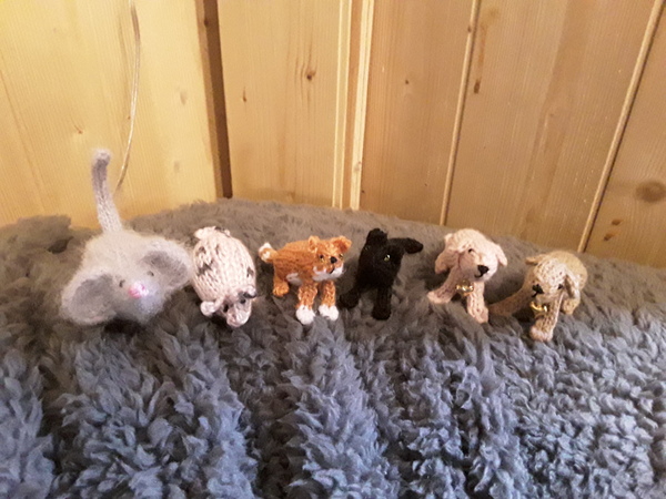 Festive Frugaleers gather round the (best value and carefully researched) Christmas Tree for support, advice and chat. All welcome.