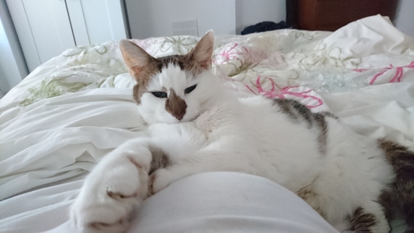 Sharing the Shitness - HOF Advent Calendar SPOILERS