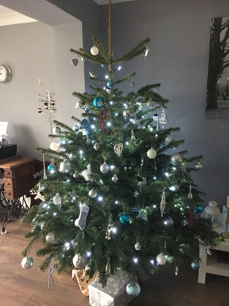 Lets see your trees!