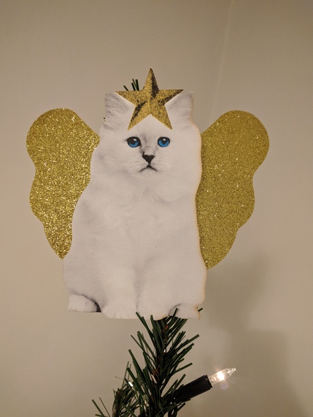 What, if anything, do you have on top of your tree?