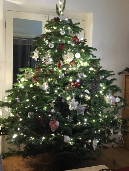Lets see your trees!