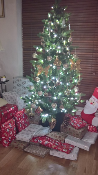 To want a peek at your tree?