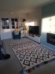 Help me choose a rug please