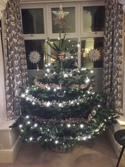 Lets see your trees!