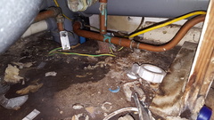 Is this rotten?