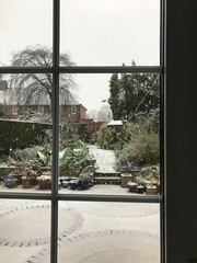 To ask to show me the view from your door
