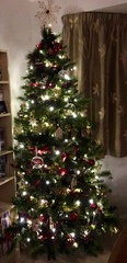 Lets see your trees!