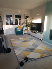 Help me choose a rug please