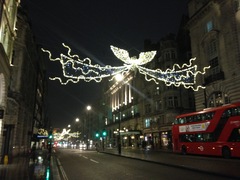 To change my xmas plans because of terrorist threat