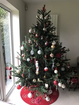 Lets see your trees!